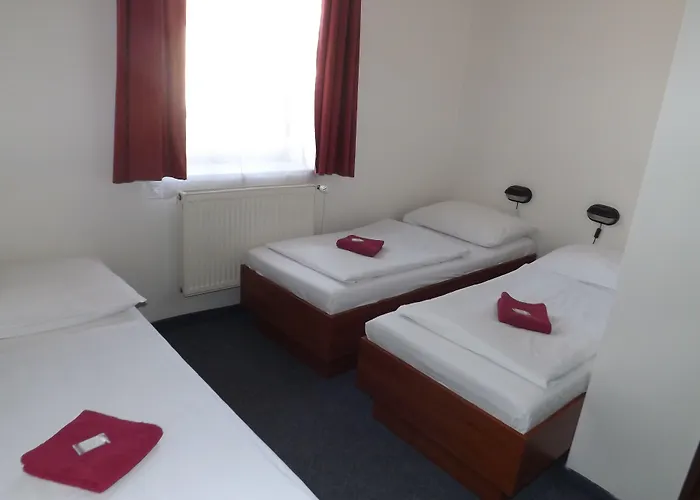 베타 게스트하우스 2*